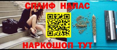 не бодяженный Гай